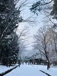 Hokkaido Jingu | Shinto shrine in Sapporo, Japan.