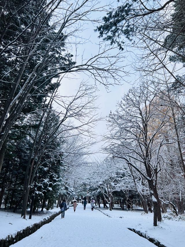 Hokkaido Jingu | Shinto shrine in Sapporo, Japan.