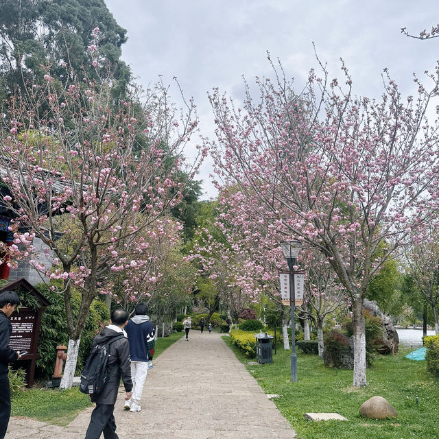 Discover the Magic of Lijiang's Black Dragon Pool