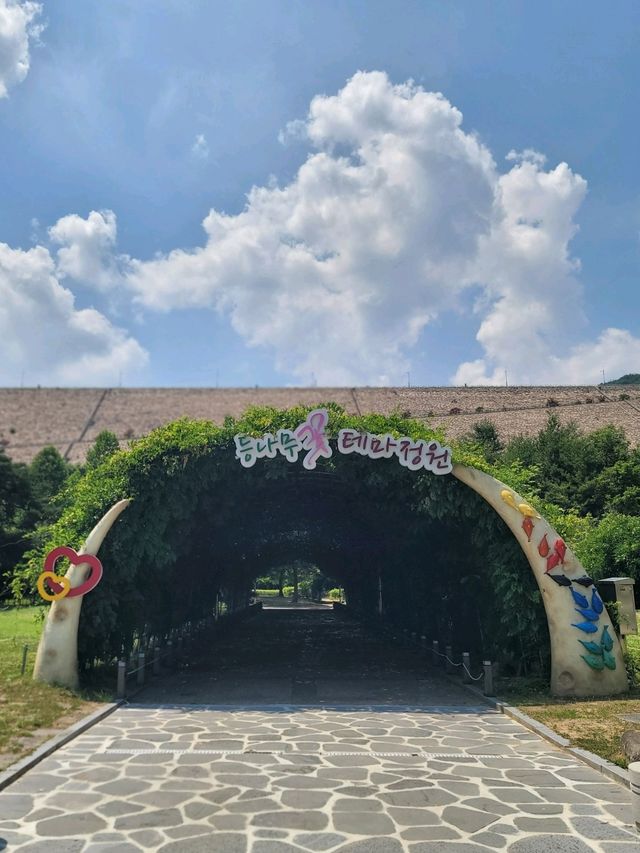 밀양댐드라이브 즐기면서 가볼만한곳💚