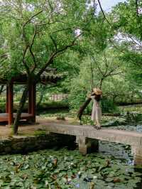 경남 사진찍기 좋은 여행지, 고성 장산숲🌳