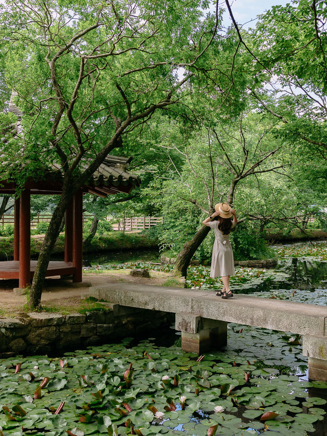 경남 사진찍기 좋은 여행지, 고성 장산숲🌳