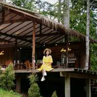 "หลงเขา" คาเฟ่กลางป่าเขาที่จะทำให้คุณหลงรัก