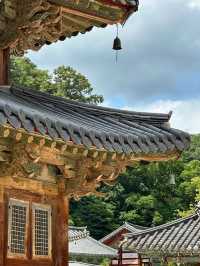 역사의 흔적이 느껴지는 🌟불교의 보물이 많은 🏞️ 충청북도 속리산 사찰여행지 추천