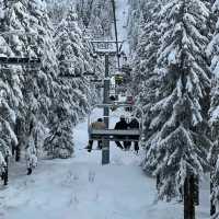 「盤溪滑雪場～美麗冰天雪地」