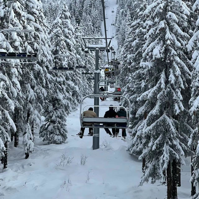 「盤溪滑雪場～美麗冰天雪地」