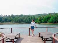 ขับรถเล่นไปสูดอากาศ เขาใหญ่กันมั๊ย