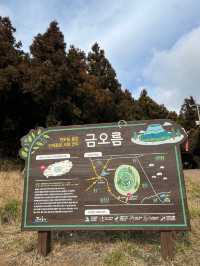 제주도 가볼만한 곳, 제주도 관광 명소 ‘금오름‘