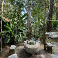 Kopi Hutan คาเฟ่ในป่าที่สูงที่สุดในปีนัง