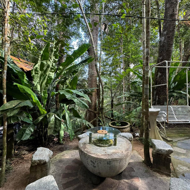 Kopi Hutan คาเฟ่ในป่าที่สูงที่สุดในปีนัง