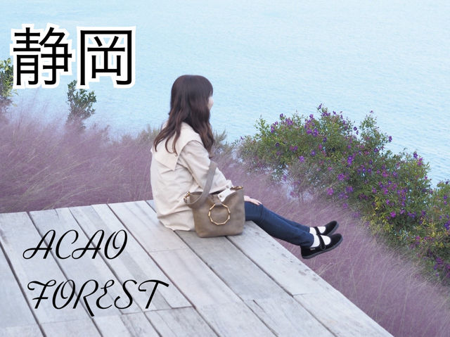 【静岡】ACAO FOREST
