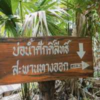 ดินแดนแห่งศรัทธา  วังนาคินทร์ คำชะโนด อุดรธานี