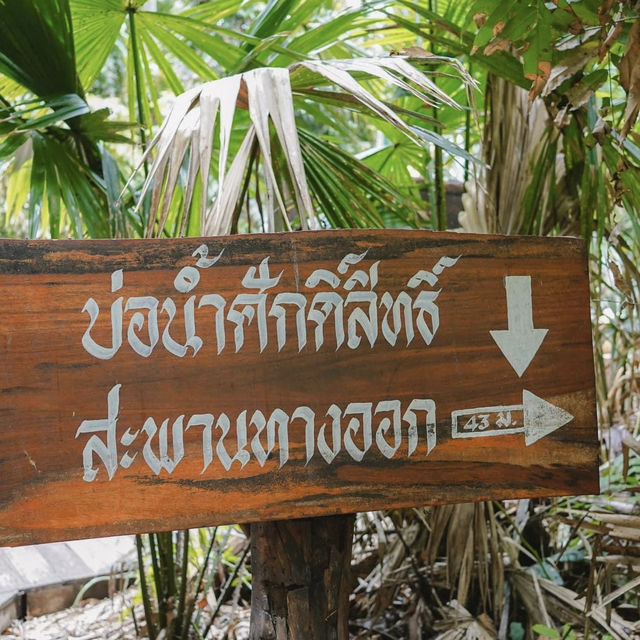 ดินแดนแห่งศรัทธา  วังนาคินทร์ คำชะโนด อุดรธานี