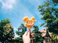 【千葉】やっぱり夏は東京ディズニーランドに行きたい！！