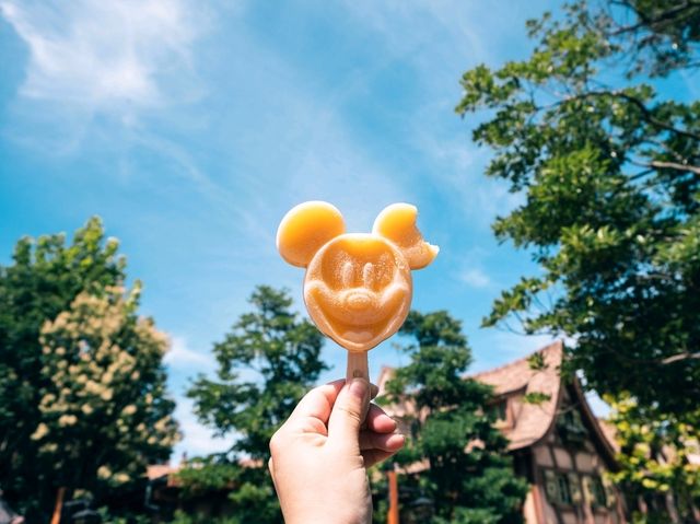 【千葉】やっぱり夏は東京ディズニーランドに行きたい！！