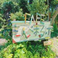 【佐久島】島素材を使った特製スカッシュが美味しい🍹すてきな古民家カフェ