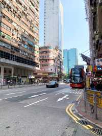 香港　香港観光　絶対外せない観光スポット　通菜街（トゥンチョイストリート）に行ってきたぞ！