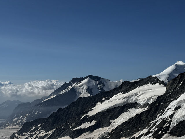특별한 여름휴가지를 찾으셨다면? 유럽의 꼭대기, 융프라우 여행🏔️