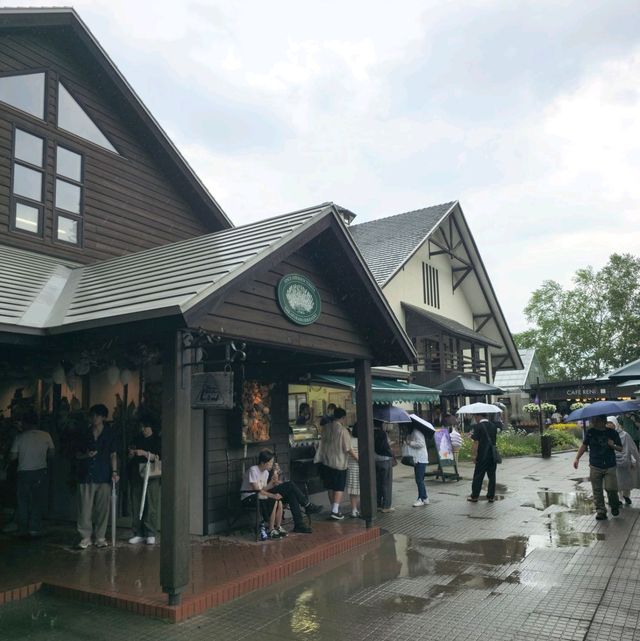 일본여행 비에이 라벤더농장 팜 토미타 ファーム富田