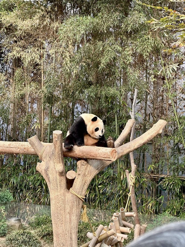 韓國｜老少咸宜的愛寶樂園🎡