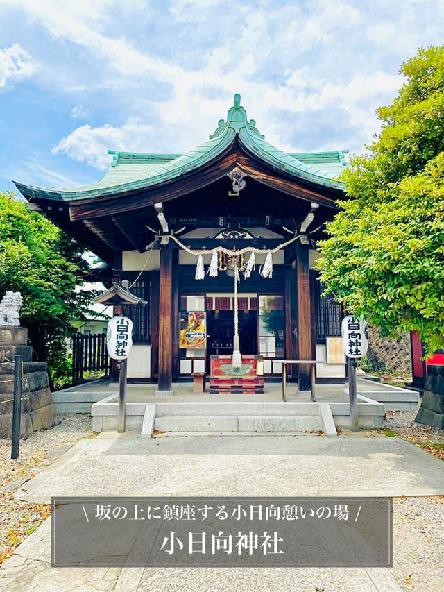 【小日向神社/東京都】坂の上に鎮座する小日向憩いの場