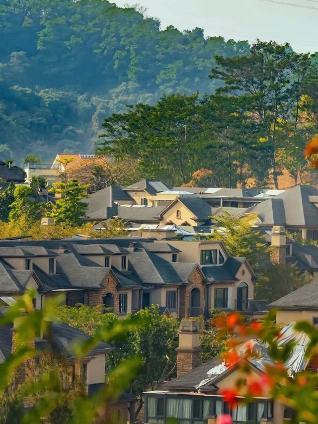 【深圳旅遊攻略】交通🔥，景點推薦，周未去哪兒推薦🏖️🏖️⭐️