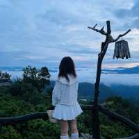 달랏 구름 사냥 해보셨나요?:)