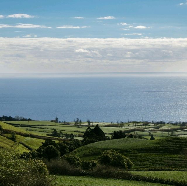 Vineyards & Breathtaking Nature