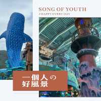 珠海長隆海洋王國一日遊