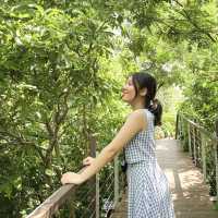 🌿พื้นที่สีเขียวจะเยียวยาทุกสิ่ง🌿