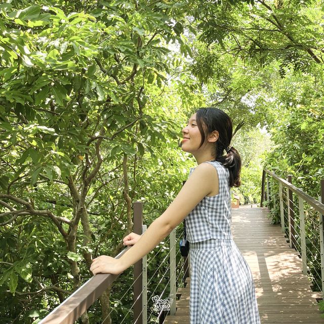 🌿พื้นที่สีเขียวจะเยียวยาทุกสิ่ง🌿