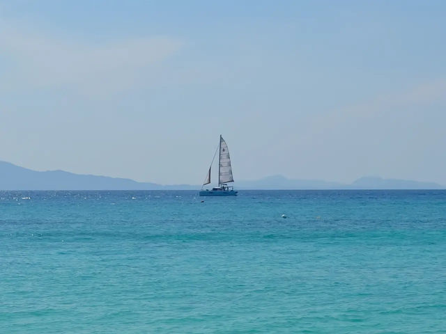 🏝️ เกาะไม้ไผ่
