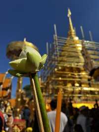 เชียงใหม่เน้นวัดสวย ได้ใจคุณแม่ 🎎