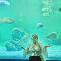 🪼อควาเรียมบางแสน 🐟ศูนย์เรียนรู้โลกใต้ทะเล🐡