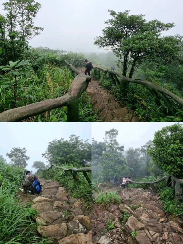 🇨🇳 Xiutong Hiking Trail 📍 Wutong Mountain, Shenzhen 