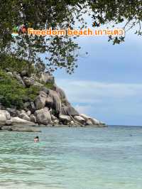  🏝️📍Freedom beach เกาะเต่า