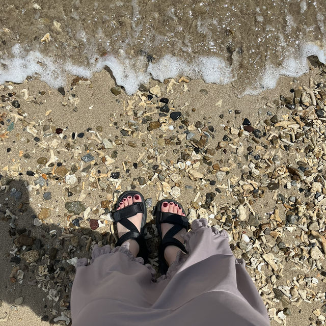 奄美 加計呂麻島🏝