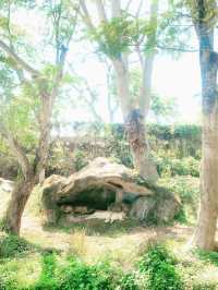 【バリ島】可愛い動物に沢山出会えるサファリ&マリンパーク