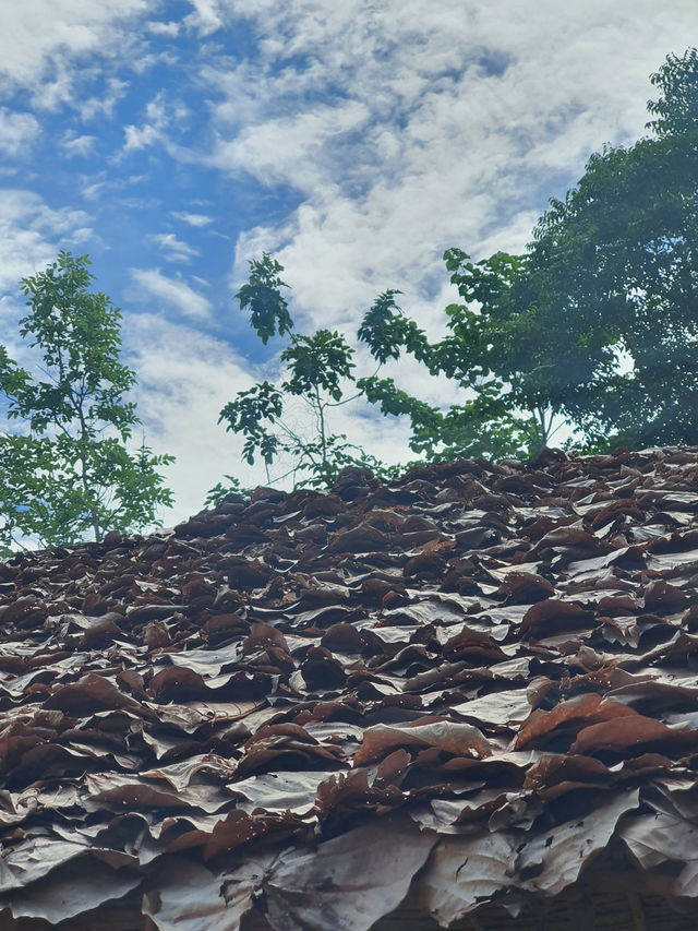 พิพิธภัณฑ์ ไม้กลายเป็นหิน