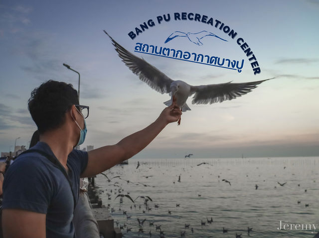 รีวิว สถานตากอากาศบางปู ( ดูนกนางนวล ) 🕊️
