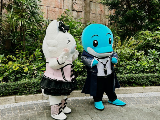Ocean Park 