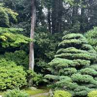 【京都】修学院離宮の豊かな自然を楽しもう🌲