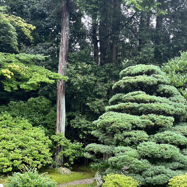 【京都】修学院離宮の豊かな自然を楽しもう🌲
