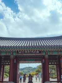도심 한 가운데서 휴양하는 이곳은 “남산골 한옥마을” 