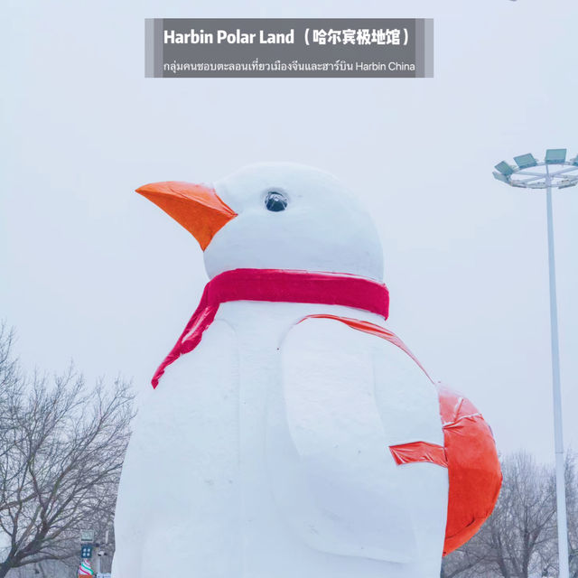 🐧Harbin Polar land 哈爾濱極地公園·極地館 