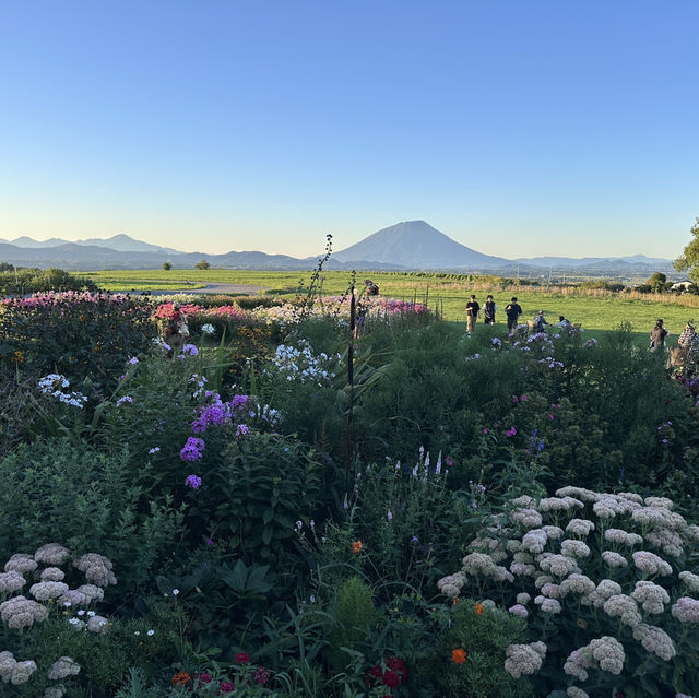 北海道｜Lake hill farm：洞爺湖畔花園牧場冰淇淋，悠閒親子美食景點