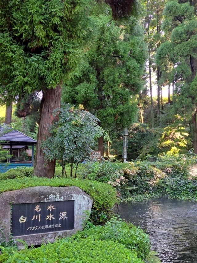 【白川水源:熊本県阿蘇群】透き通った美味しい湧き水を汲める場所✨