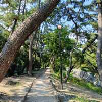 私の100の旅✨おすすめの桜並木の公園『夙川公園』🌸