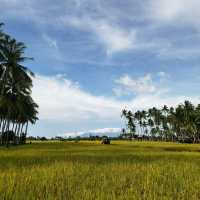 Truely Nature of Kampong Agong