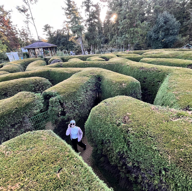 Recommend Beautiful Jeju Island 🇰🇷 tour and food  Recommend Beautiful Jeju Island 🇰🇷 tour and food